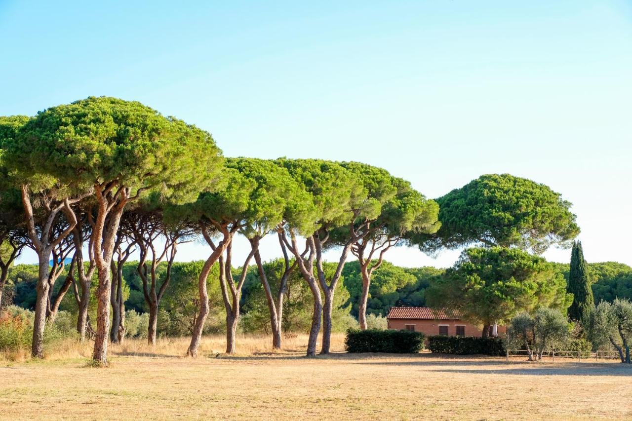 Residence La Canova II Гроссето Экстерьер фото